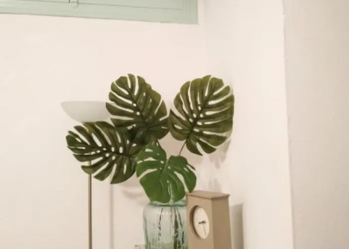 Canastas Centro A Pie De Catedral Y Playa Lägenhet Cádiz