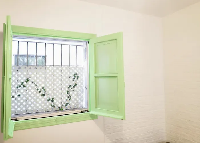 Canastas Centro A Pie De Catedral Y Playa *