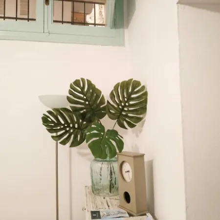 Canastas Centro A Pie De Catedral Y Playa 公寓 加的斯