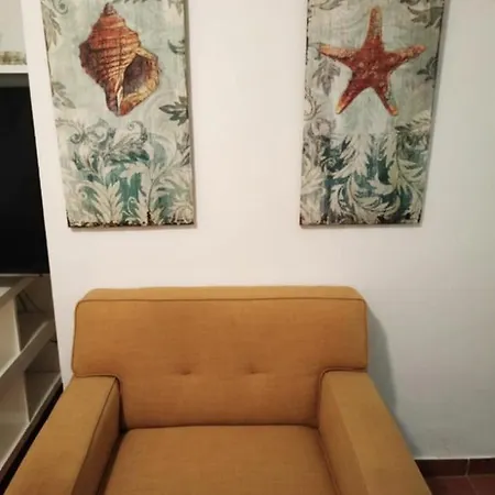 Canastas Centro A Pie De Catedral Y Playa