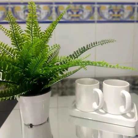 Canastas Centro A Pie De Catedral Y Playa