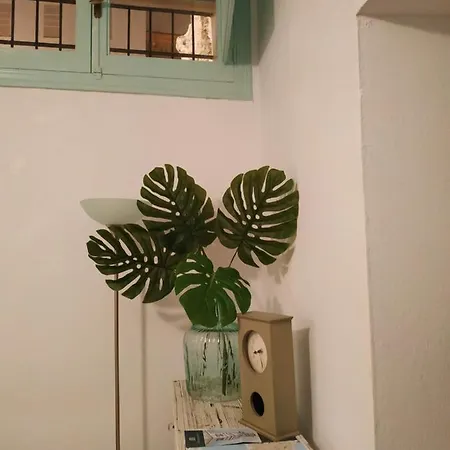 아파트 Canastas Centro A Pie De Catedral Y Playa *