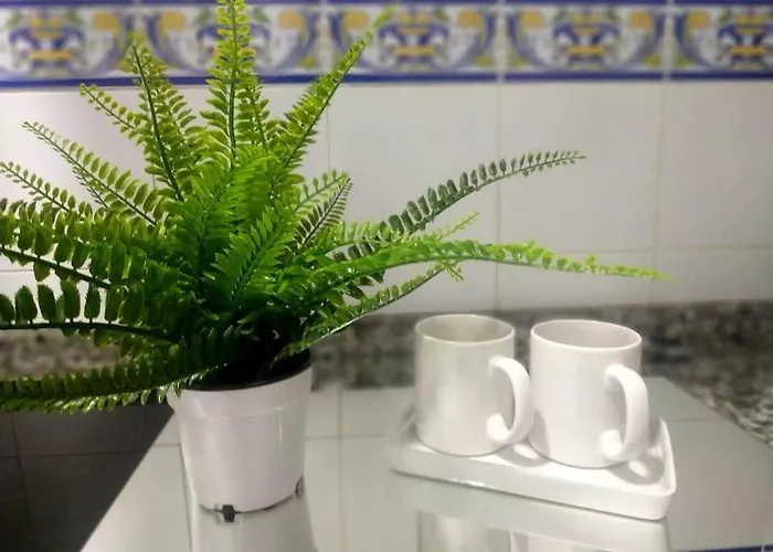 Canastas Centro A Pie De Catedral Y Playa